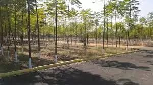 Banner Image for SS Ramesh Vyas Shree Punyodaya Enclave