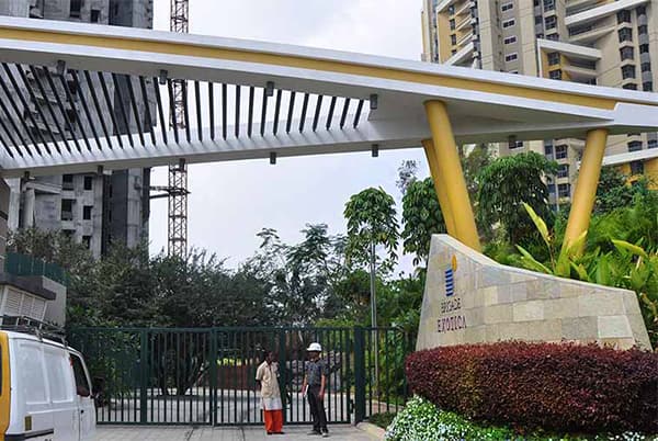 Banner Image for Brigade Exotica