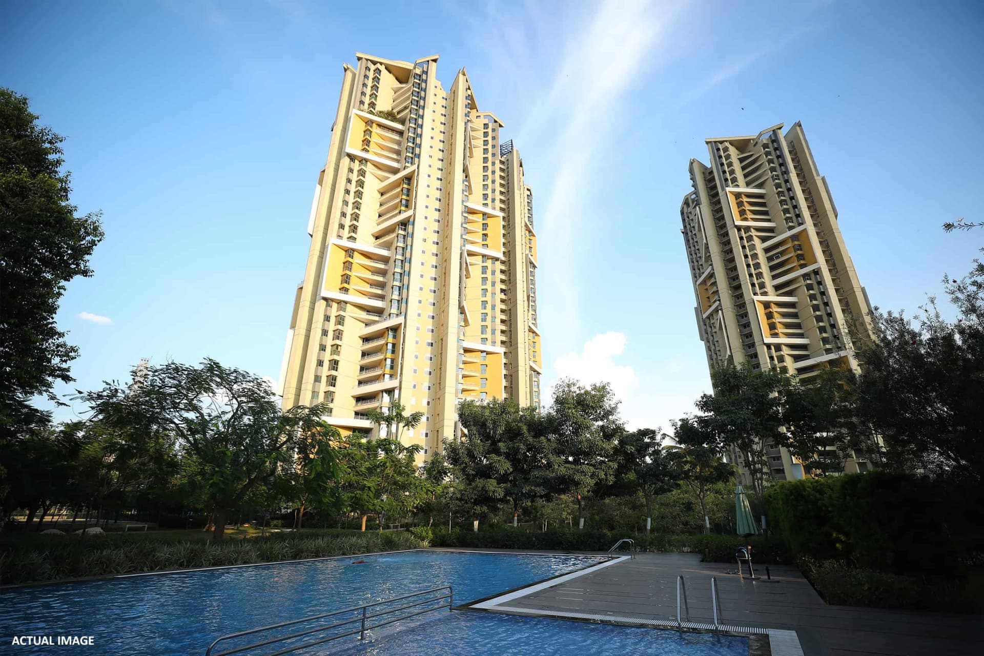 Banner Image for Brigade Exotica