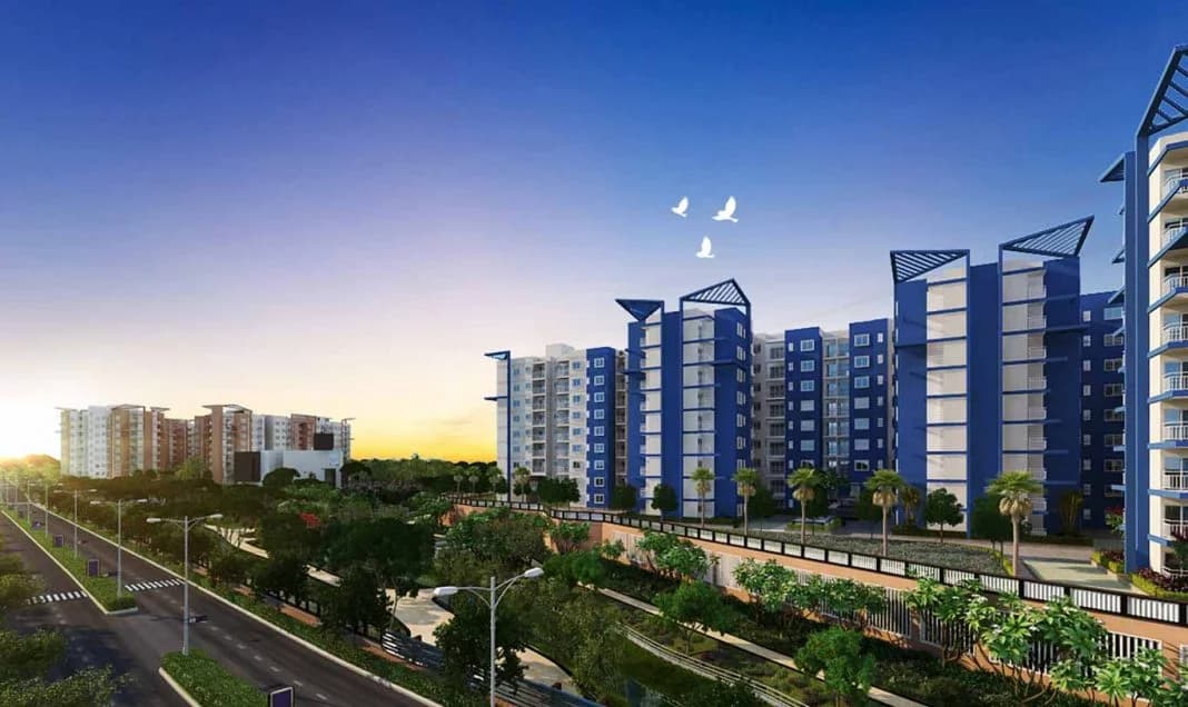 Banner Image for Brigade Meadows Plumeria