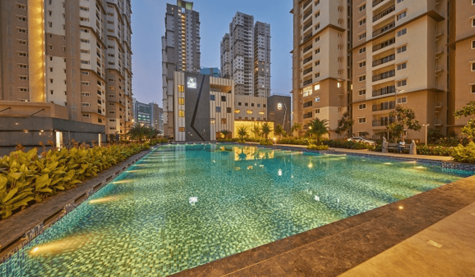 Banner Image for Prestige Lavender Fields