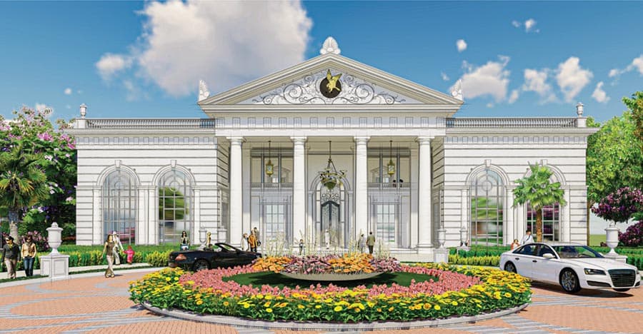 Banner Image for Prestige Marigold